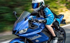 国外美女恶搞路人